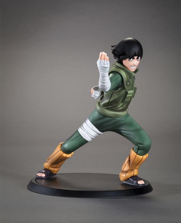 TSUME Art - DXtra -Rock Lee