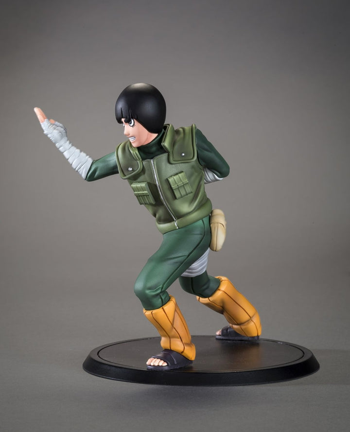 TSUME Art - DXtra -Rock Lee