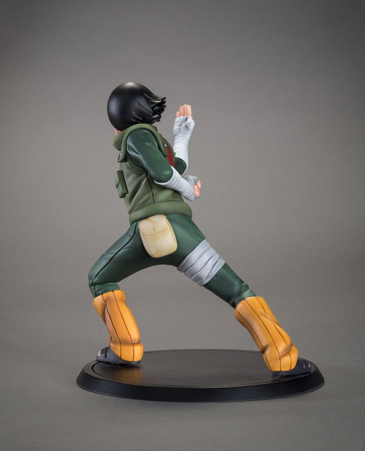 TSUME Art - DXtra -Rock Lee