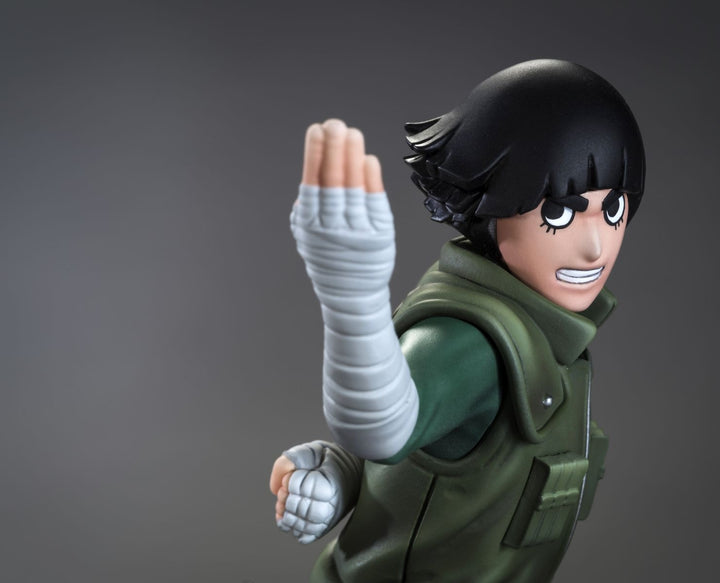 TSUME Art - DXtra -Rock Lee