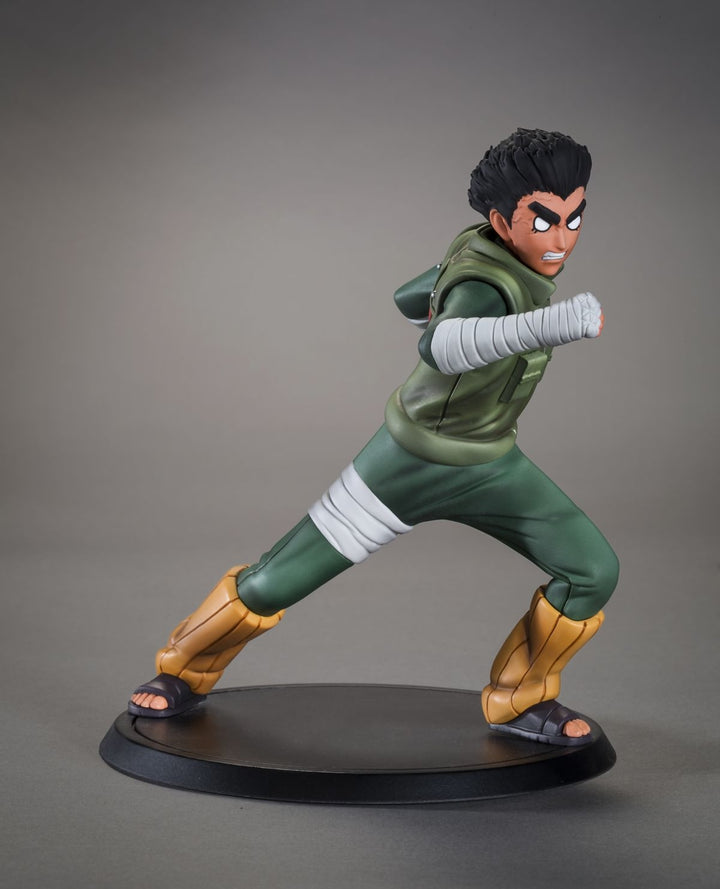 TSUME Art - DXtra -Rock Lee