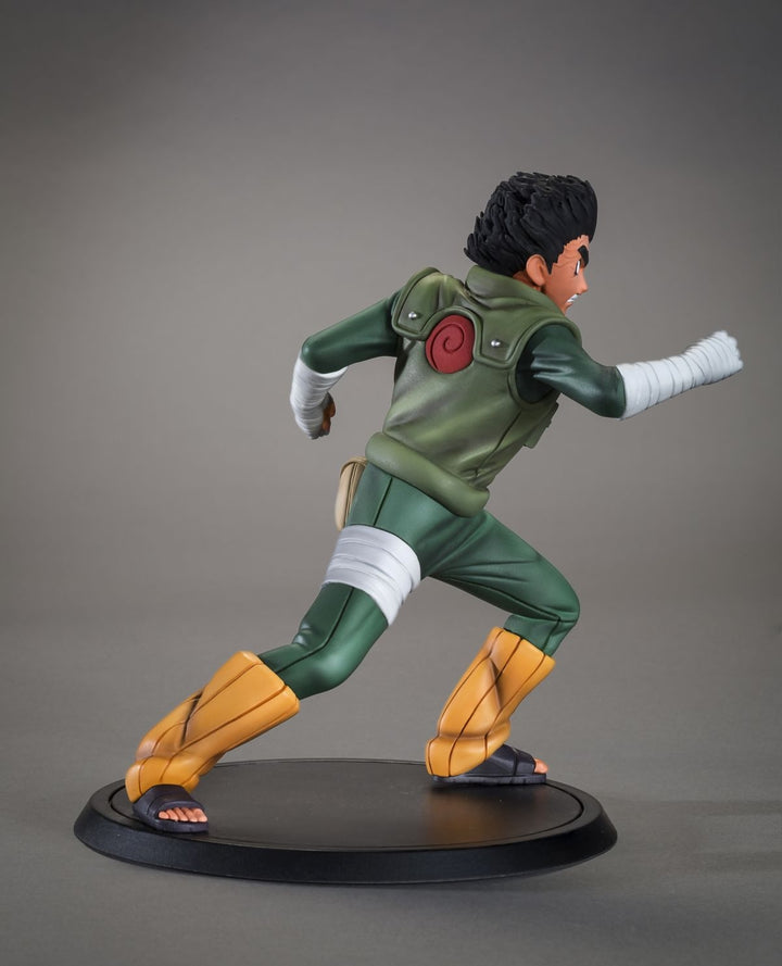 TSUME Art - DXtra -Rock Lee