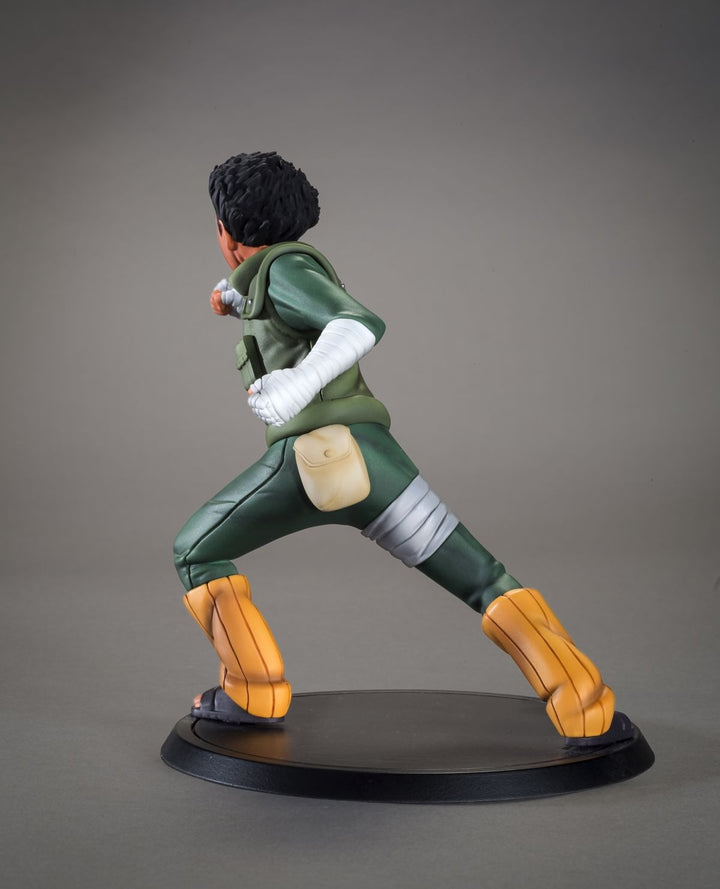 TSUME Art - DXtra -Rock Lee