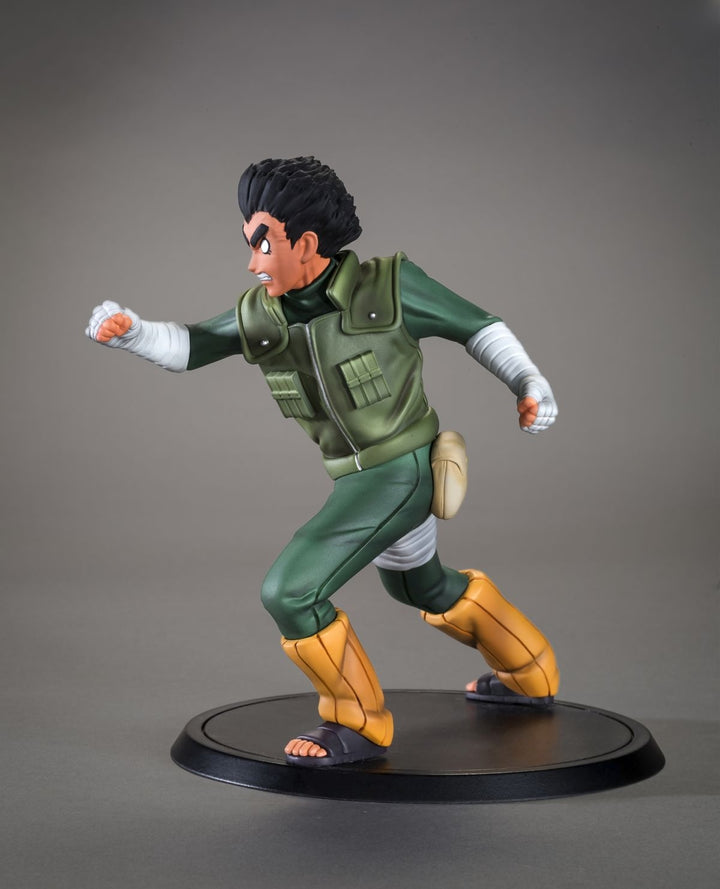 TSUME Art - DXtra -Rock Lee