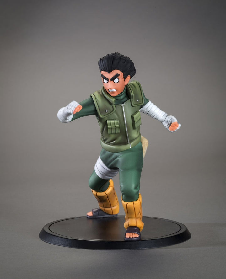 TSUME Art - DXtra -Rock Lee