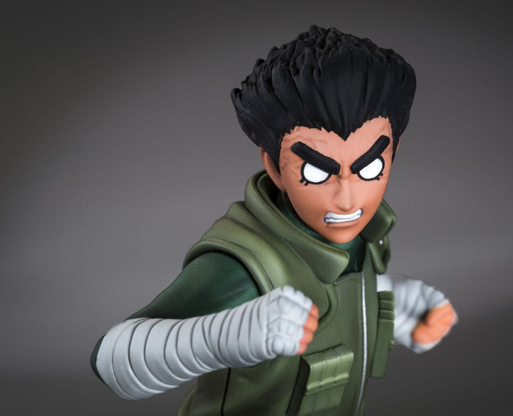 TSUME Art - DXtra -Rock Lee