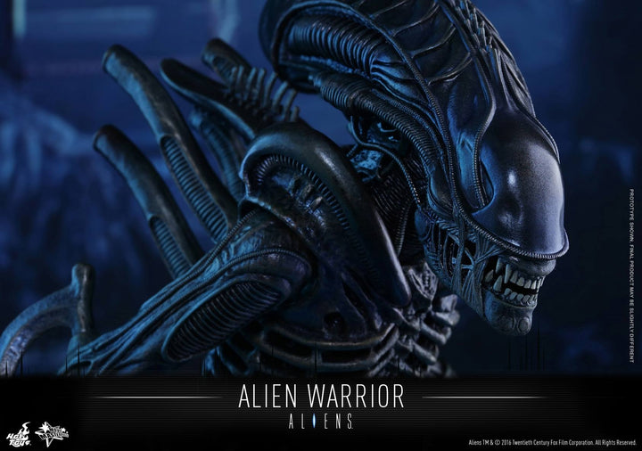 Hot Toys - MMS354 - Aliens - Alien Warrior