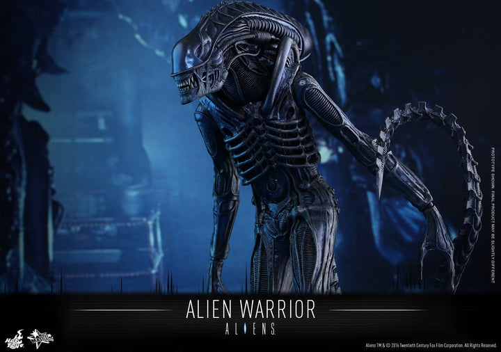 Hot Toys - MMS354 - Aliens - Alien Warrior