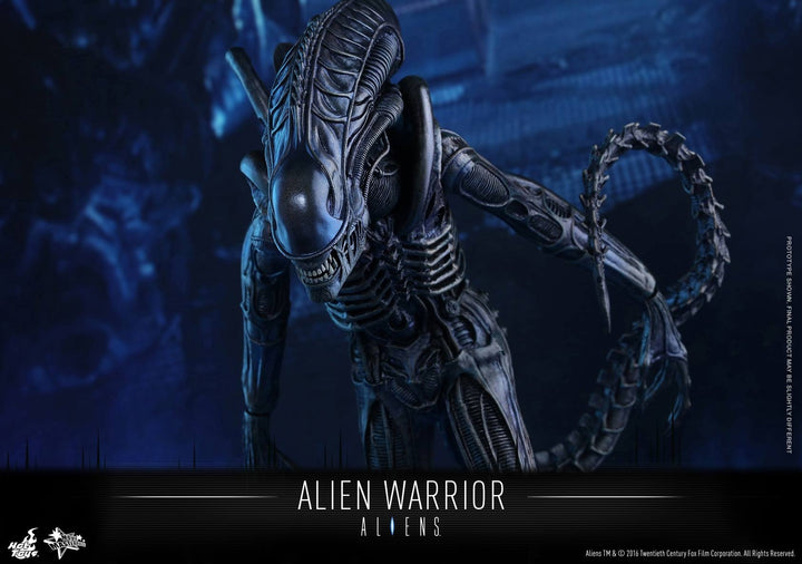 Hot Toys - MMS354 - Aliens - Alien Warrior