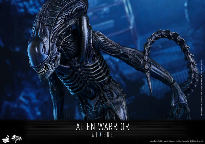 Hot Toys - MMS354 - Aliens - Alien Warrior