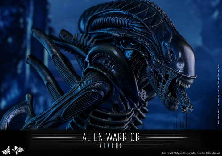 Hot Toys - MMS354 - Aliens - Alien Warrior