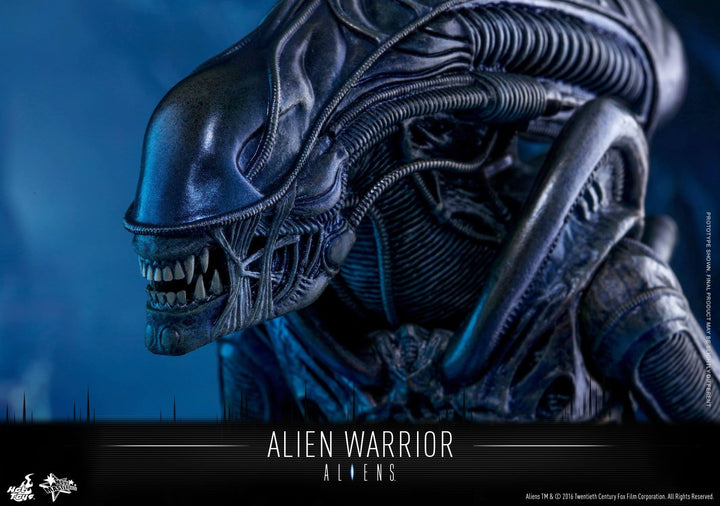 Hot Toys - MMS354 - Aliens - Alien Warrior