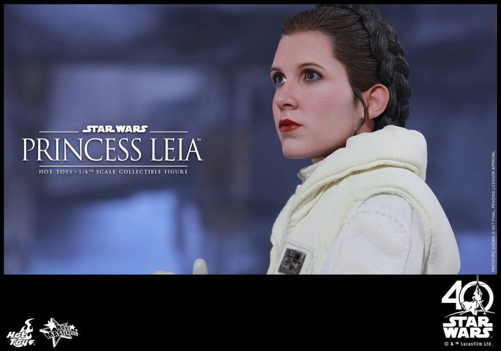 Hot Toys - MMS423 – Star Wars: The Empire Strikes Back - Princess Leia