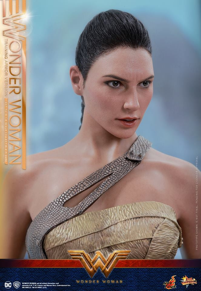 Hot Toys – MMS424 – Wonder Woman –  Wonder Woman (Training Armor Version)