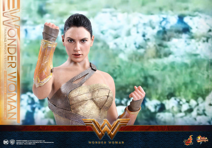 Hot Toys – MMS424 – Wonder Woman –  Wonder Woman (Training Armor Version)