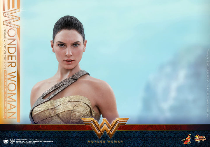 Hot Toys – MMS424 – Wonder Woman –  Wonder Woman (Training Armor Version)