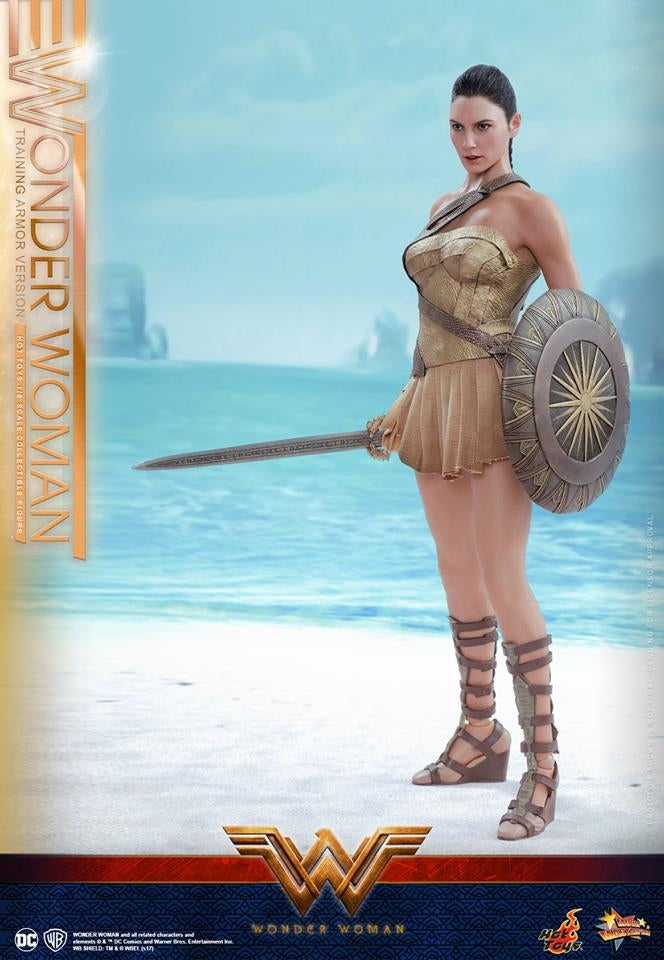 Hot Toys – MMS424 – Wonder Woman –  Wonder Woman (Training Armor Version)