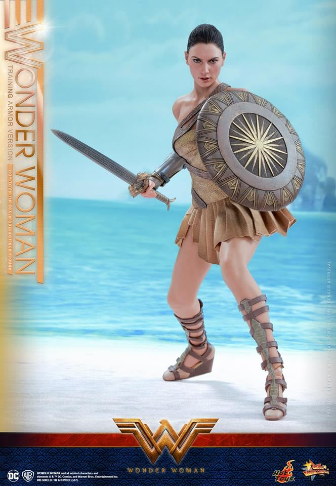 Hot Toys – MMS424 – Wonder Woman –  Wonder Woman (Training Armor Version)