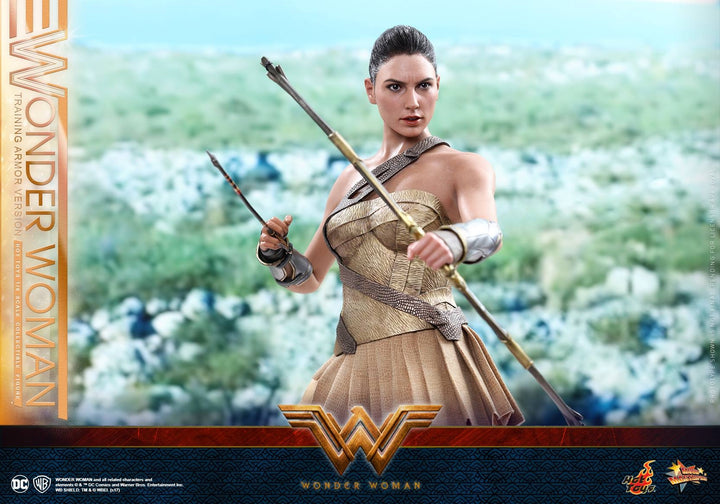 Hot Toys – MMS424 – Wonder Woman –  Wonder Woman (Training Armor Version)