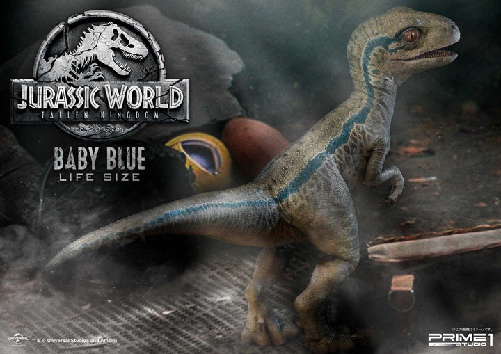 [Pre-Order] PRIME1 STUDIO - LMCJW2-01 BLUE (JURASSIC WORLD FALLEN KINGDOM)