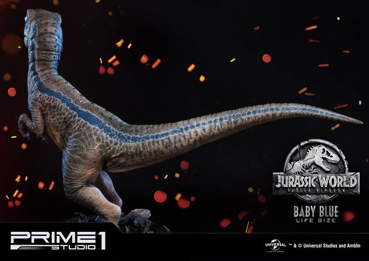 [Pre-Order] PRIME1 STUDIO - LMCJW2-01 BLUE (JURASSIC WORLD FALLEN KINGDOM)