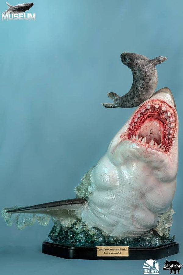 Infinity Studio - Museum Series - Carcharodon carcharias (Great White Shark) 