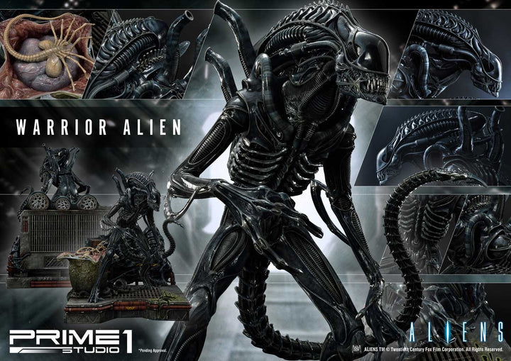 [Pre-Order] PRIME1 STUDIO - PMDHAL-02 WARRIOR ALIEN (ALIENS)