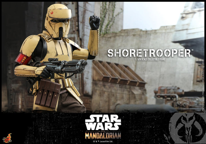 [Pre-Order] Hot Toys - TMS008 - The Mandalorian - 1/6th scale IG-11 Collectible Figure