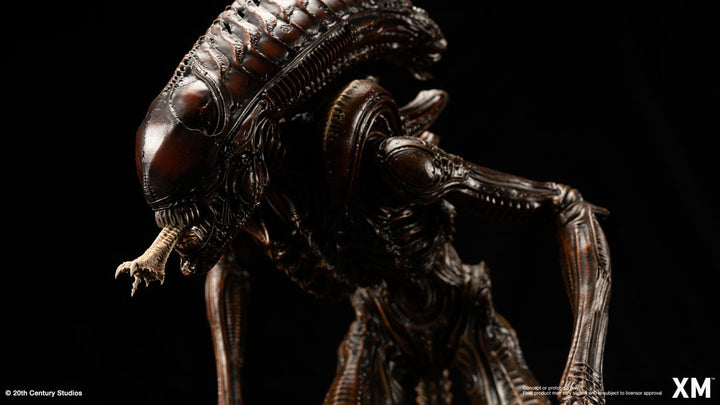 [Pre-Order] XM STUDIO - ALIEN HIVE WARRIOR STATUE