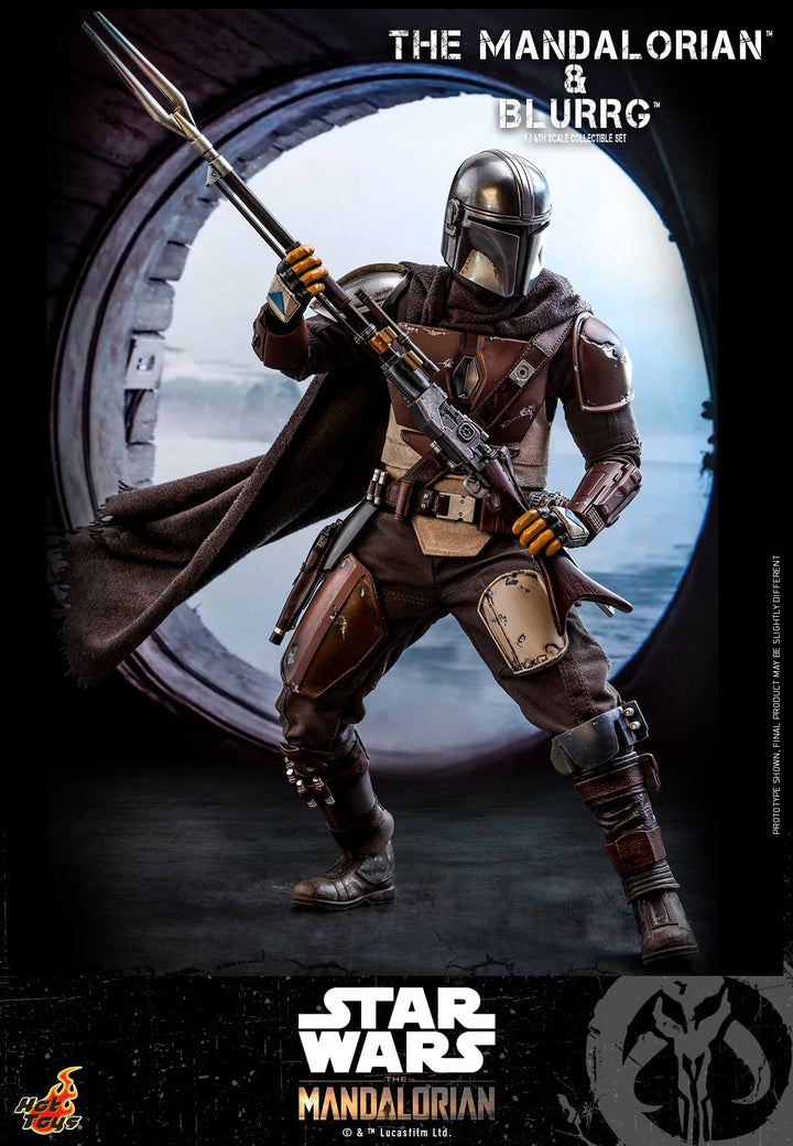 [Pre-Order]  Hot Toys - TMS045 - Star Wars: The Mandalorian - 1/6th scale Blurrg Collectible