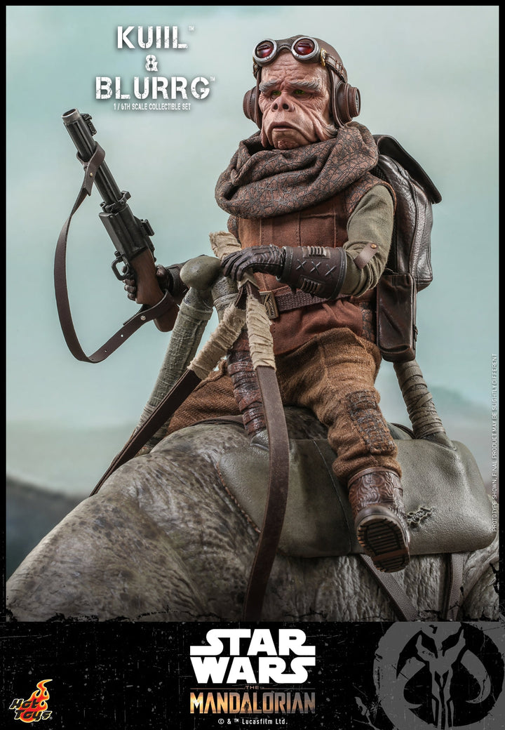 [Pre-Order] Hot Toys - TMS048 - Star Wars: The Mandalorian - 1/6th scale Kuiil Collectible Figure