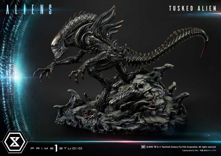 [Pre-Order] PRIME1 STUDIO - PMDHAL-05S: TUSKED ALIEN BONUS VERSION (DARK HORSE COMICS)