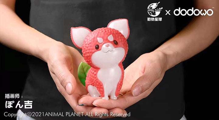 Animal Planet X dodowo X Ponkichi Fruit Fairy - Melon Turtle