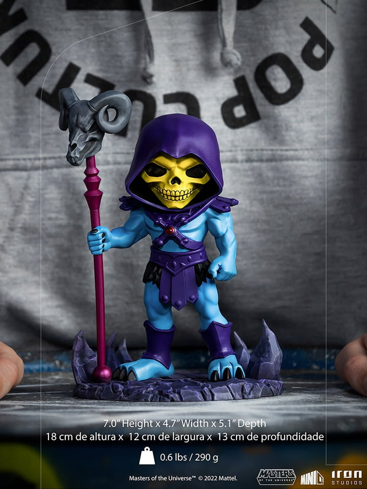 [Pre-Order] Iron Studios - He-Man – Masters of the Universe – MiniCO