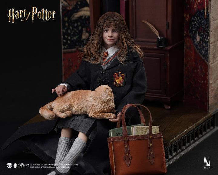 [Pre-Order]  INART - Harry Potter and the Philosophers Stone - 1/6 scale Ron Weasley Collectible Figure (Deluxe Version)