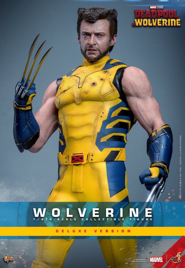 [Pre-Order] Hot Toys - MMS753 - Deadpool & Wolverine - 1/6th scale Wolverine Collectible Figure 