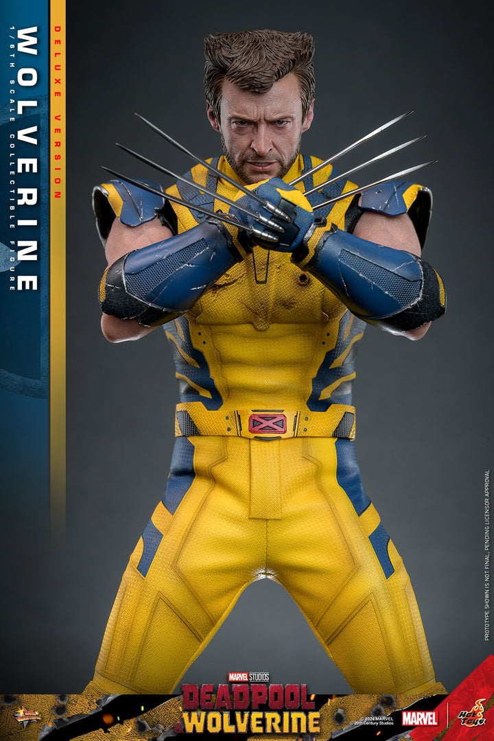 [Pre-Order] Hot Toys - MMS753 - Deadpool & Wolverine - 1/6th scale Wolverine Collectible Figure 