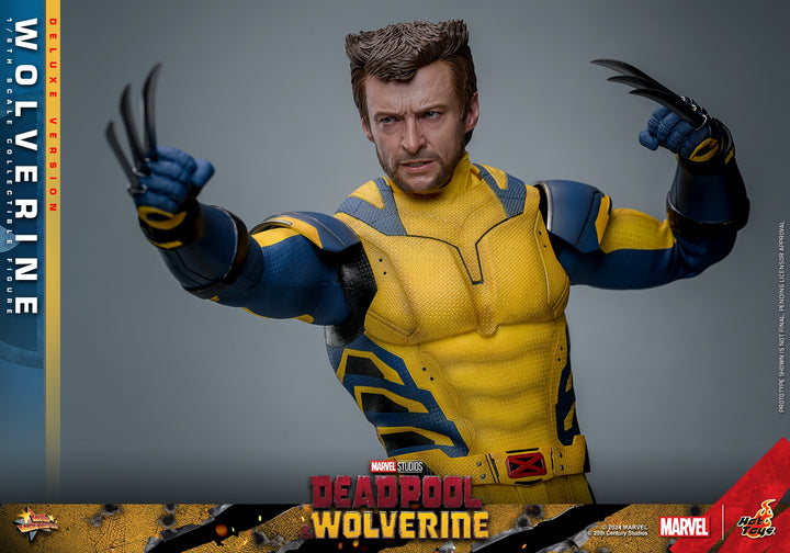 [Pre-Order] Hot Toys - MMS753 - Deadpool & Wolverine - 1/6th scale Wolverine Collectible Figure 