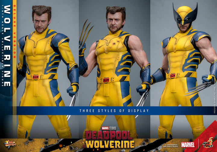 [Pre-Order] Hot Toys - MMS753 - Deadpool & Wolverine - 1/6th scale Wolverine Collectible Figure 