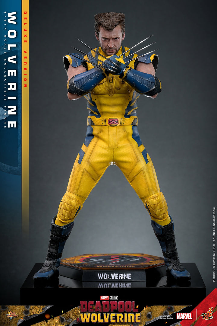 [Pre-Order] Hot Toys - MMS753 - Deadpool & Wolverine - 1/6th scale Wolverine Collectible Figure 