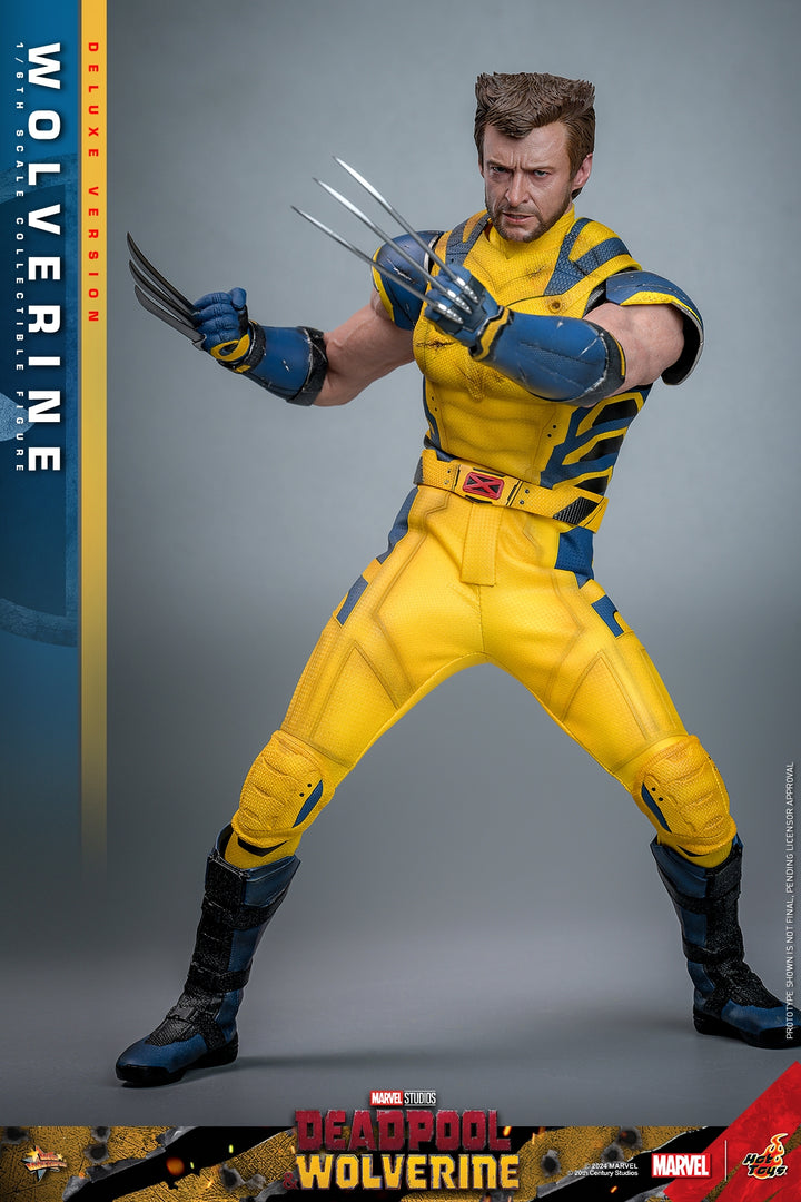 [Pre-Order] Hot Toys - MMS753 - Deadpool & Wolverine - 1/6th scale Wolverine Collectible Figure 