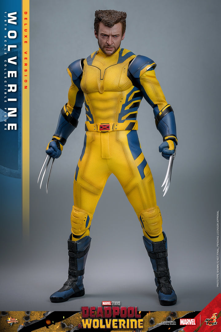 [Pre-Order] Hot Toys - MMS753 - Deadpool & Wolverine - 1/6th scale Wolverine Collectible Figure 