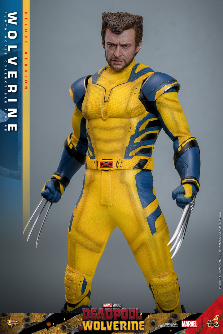 [Pre-Order] Hot Toys - MMS753 - Deadpool & Wolverine - 1/6th scale Wolverine Collectible Figure 