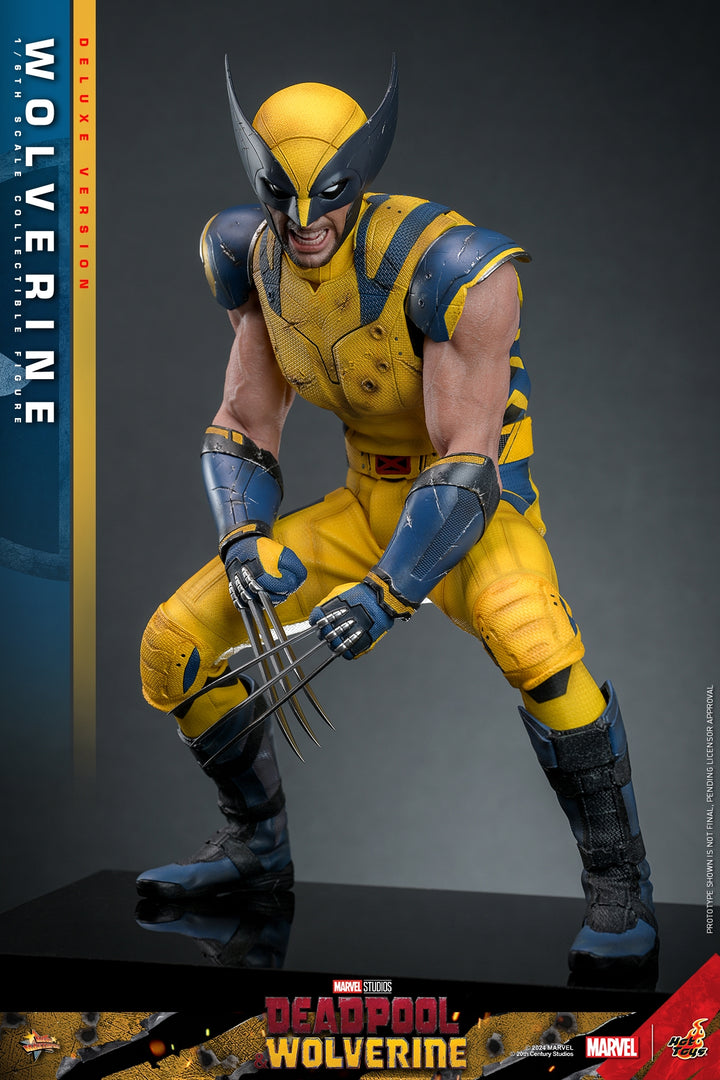 [Pre-Order] Hot Toys - MMS753 - Deadpool & Wolverine - 1/6th scale Wolverine Collectible Figure 