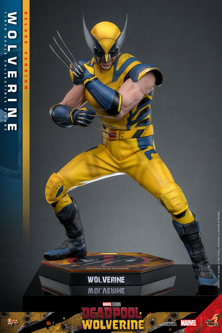 [Pre-Order] Hot Toys - MMS753 - Deadpool & Wolverine - 1/6th scale Wolverine Collectible Figure 