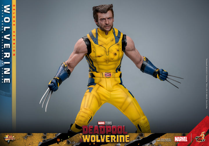 [Pre-Order] Hot Toys - MMS753 - Deadpool & Wolverine - 1/6th scale Wolverine Collectible Figure 