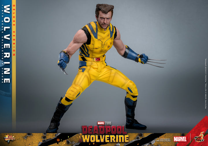 [Pre-Order] Hot Toys - MMS753 - Deadpool & Wolverine - 1/6th scale Wolverine Collectible Figure 