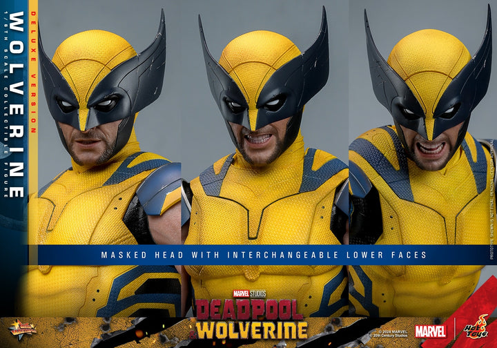 [Pre-Order] Hot Toys - MMS753 - Deadpool & Wolverine - 1/6th scale Wolverine Collectible Figure 