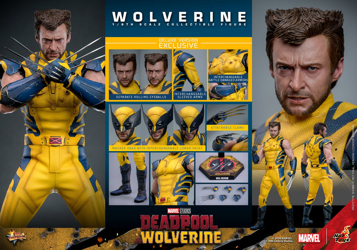 [Pre-Order] Hot Toys - MMS753 - Deadpool & Wolverine - 1/6th scale Wolverine Collectible Figure 