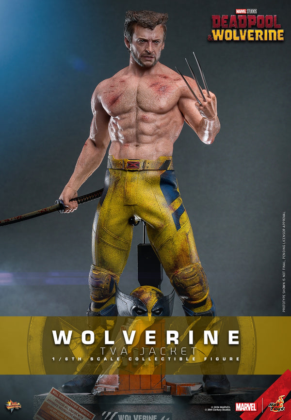 [Pre-Order] Hot Toys - MMS756 - Deadpool & Wolverine - 1/6th scale Wolverine (TVA Jacket Version) Collectible Figure